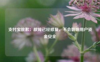 支付宝致歉：故障已经修复，不会影响用户资金安全