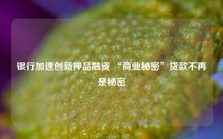 银行加速创新押品融资 “商业秘密”贷款不再是秘密