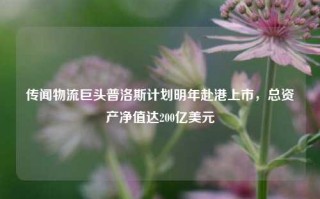 传闻物流巨头普洛斯计划明年赴港上市，总资产净值达200亿美元