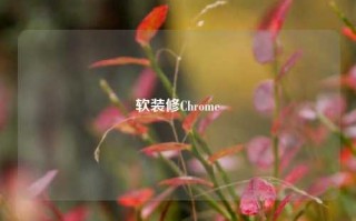 软装修Chrome