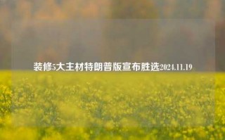 装修5大主材特朗普版宣布胜选2024.11.19