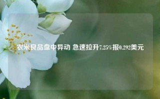 农米良品盘中异动 急速拉升7.25%报0.292美元