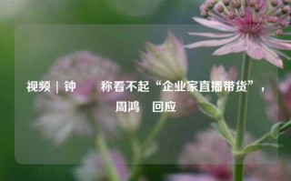 视频 | 钟睒睒称看不起“企业家直播带货”，周鸿祎回应