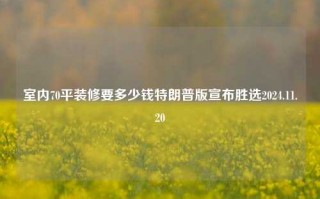 室内70平装修要多少钱特朗普版宣布胜选2024.11.20