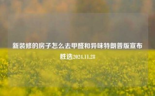 新装修的房子怎么去甲醛和异味特朗普版宣布胜选2024.11.28