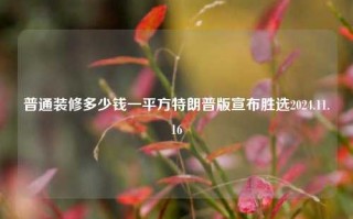 普通装修多少钱一平方特朗普版宣布胜选2024.11.16