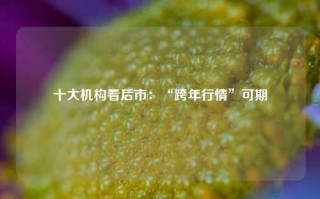 十大机构看后市：“跨年行情”可期