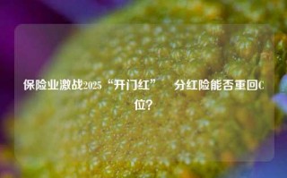 保险业激战2025“开门红”　分红险能否重回C位？