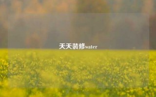 天天装修water