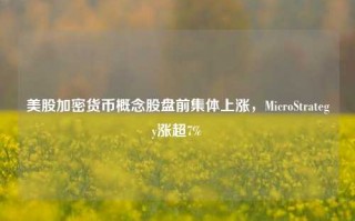 美股加密货币概念股盘前集体上涨，MicroStrategy涨超7%