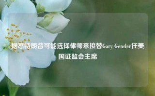 据悉特朗普可能选择律师来接替Gary Gensler任美国证监会主席