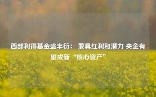 西部利得基金盛丰衍： 兼具红利和潜力 央企有望成新“核心资产”