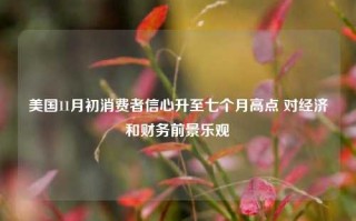 美国11月初消费者信心升至七个月高点 对经济和财务前景乐观