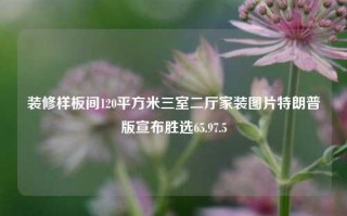 装修样板间120平方米三室二厅家装图片特朗普版宣布胜选65.97.5