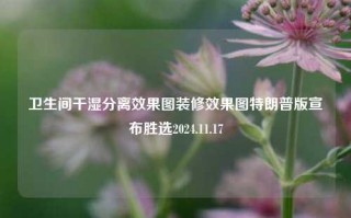 卫生间干湿分离效果图装修效果图特朗普版宣布胜选2024.11.17