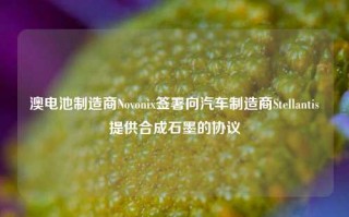 澳电池制造商Novonix签署向汽车制造商Stellantis提供合成石墨的协议