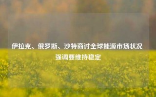 伊拉克、俄罗斯、沙特商讨全球能源市场状况 强调要维持稳定