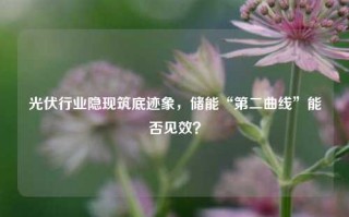 光伏行业隐现筑底迹象，储能“第二曲线”能否见效？