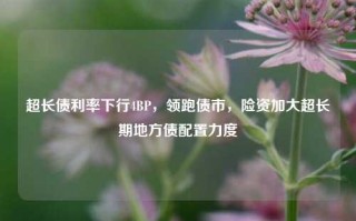 超长债利率下行4BP，领跑债市，险资加大超长期地方债配置力度