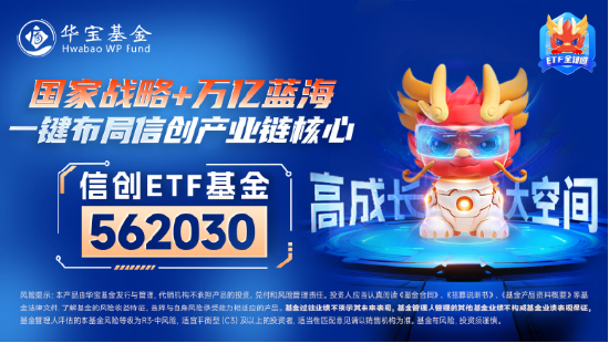 6万亿元！近年力度最大化债举措通过！信创ETF基金（562030）最高涨超5.6%斩获日线5连阳，华大九天等3股涨停-第6张图片-厦门装修网 