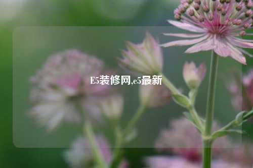 E5装修网,e5最新-第1张图片-厦门装修网 