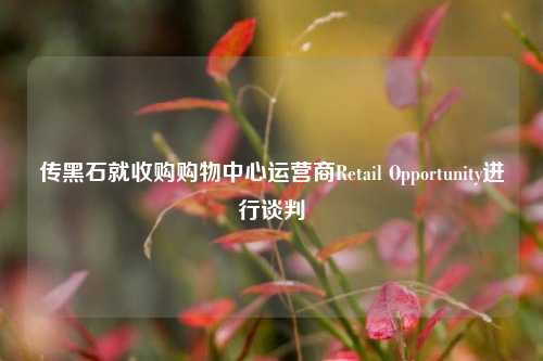 传黑石就收购购物中心运营商Retail Opportunity进行谈判-第1张图片-厦门装修网 