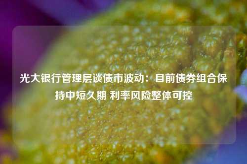 光大银行管理层谈债市波动：目前债券组合保持中短久期 利率风险整体可控-第1张图片-厦门装修网 