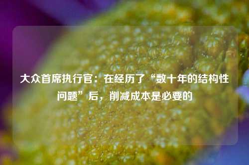 大众首席执行官：在经历了“数十年的结构性问题”后，削减成本是必要的-第1张图片-厦门装修网 