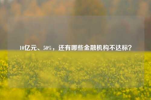 10亿元、50%，还有哪些金融机构不达标？-第1张图片-厦门装修网 