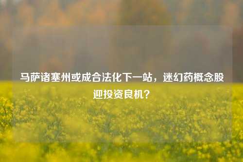 马萨诸塞州或成合法化下一站，迷幻药概念股迎投资良机？-第1张图片-厦门装修网 