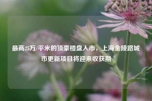 最高25万/平米的顶豪楼盘入市，上海金陵路城市更新项目将迎来收获期-第1张图片-厦门装修网 