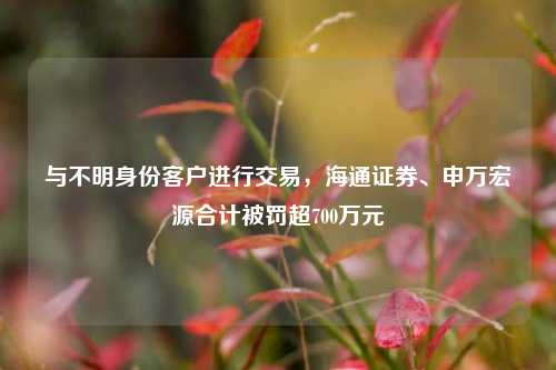 与不明身份客户进行交易，海通证券、申万宏源合计被罚超700万元-第1张图片-厦门装修网 