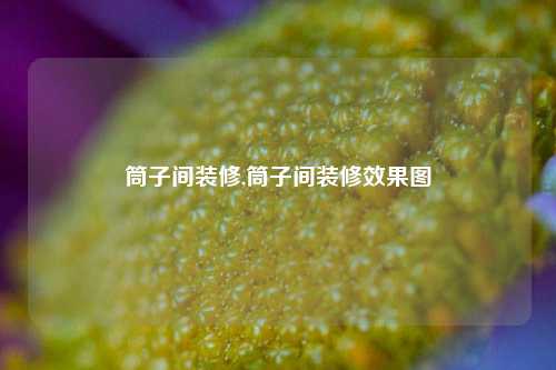 筒子间装修,筒子间装修效果图-第1张图片-厦门装修网 