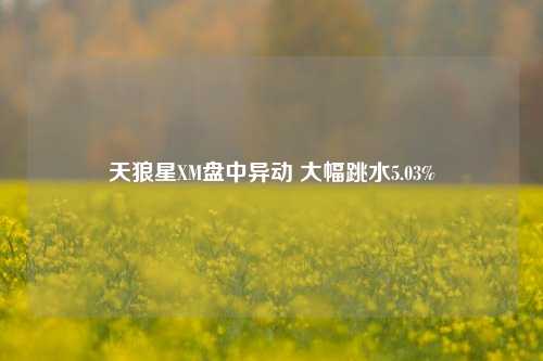 天狼星XM盘中异动 大幅跳水5.03%-第1张图片-厦门装修网 