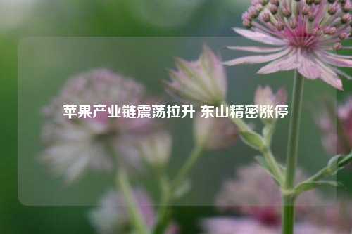 苹果产业链震荡拉升 东山精密涨停-第1张图片-厦门装修网 