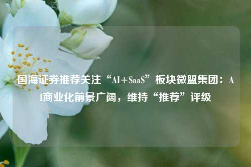 国海证券推荐关注“AI+SaaS”板块微盟集团：AI商业化前景广阔，维持“推荐”评级-第1张图片-厦门装修网 