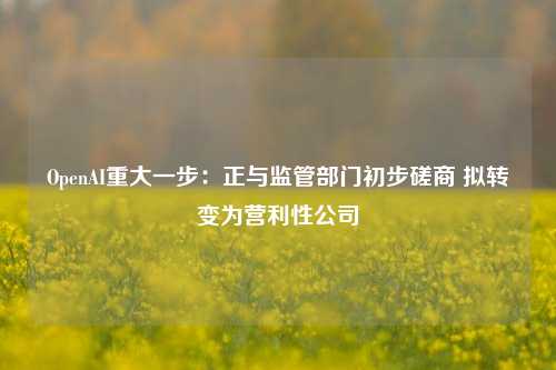 OpenAI重大一步：正与监管部门初步磋商 拟转变为营利性公司-第1张图片-厦门装修网 