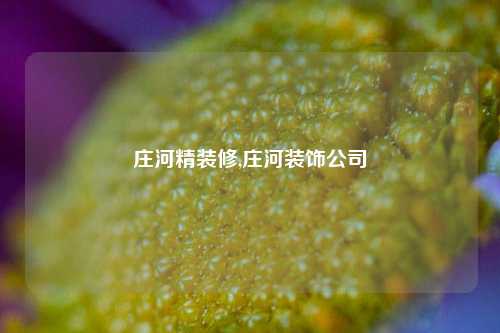 庄河精装修,庄河装饰公司-第1张图片-厦门装修网 