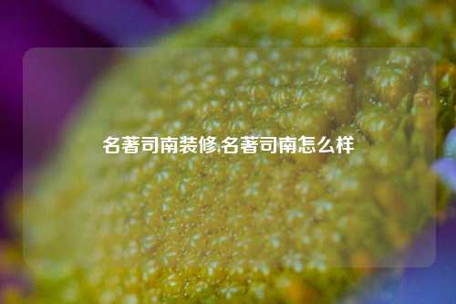 名著司南装修,名著司南怎么样-第1张图片-厦门装修网 