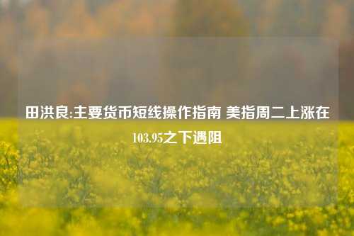 田洪良:主要货币短线操作指南 美指周二上涨在103.95之下遇阻-第1张图片-厦门装修网 