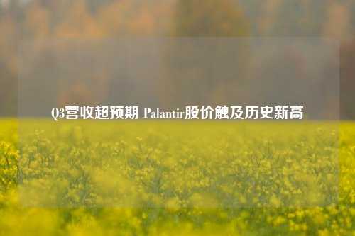 Q3营收超预期 Palantir股价触及历史新高-第1张图片-厦门装修网 