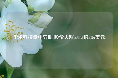 华米科技盘中异动 股价大涨5.83%报3.26美元-第1张图片-厦门装修网 