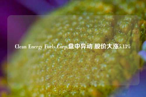 Clean Energy Fuels Corp.盘中异动 股价大涨5.13%-第1张图片-厦门装修网 