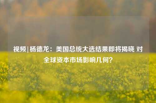 视频|杨德龙：美国总统大选结果即将揭晓 对全球资本市场影响几何？-第1张图片-厦门装修网 