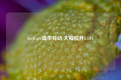 AtriCure盘中异动 大幅拉升5.14%-第1张图片-厦门装修网 