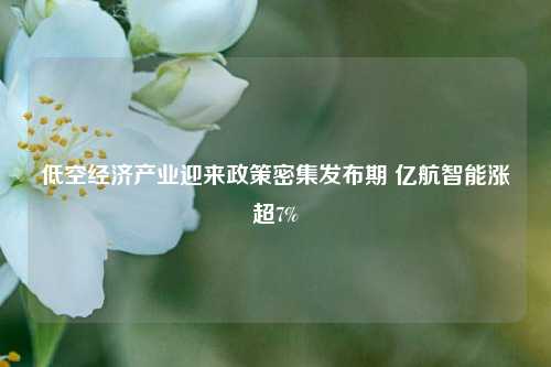 低空经济产业迎来政策密集发布期 亿航智能涨超7%-第1张图片-厦门装修网 