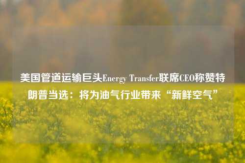 美国管道运输巨头Energy Transfer联席CEO称赞特朗普当选：将为油气行业带来“新鲜空气”-第1张图片-厦门装修网 