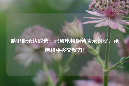 哈里斯承认败选：已致电特朗普表示祝贺，承诺和平移交权力！-第1张图片-厦门装修网 