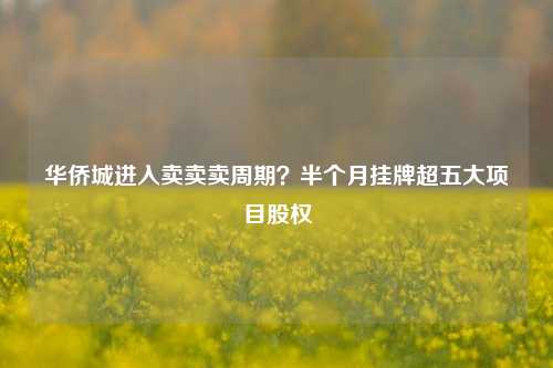 华侨城进入卖卖卖周期？半个月挂牌超五大项目股权-第1张图片-厦门装修网 