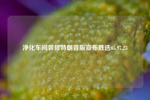 净化车间装修特朗普版宣布胜选65.97.23-第1张图片-厦门装修网 